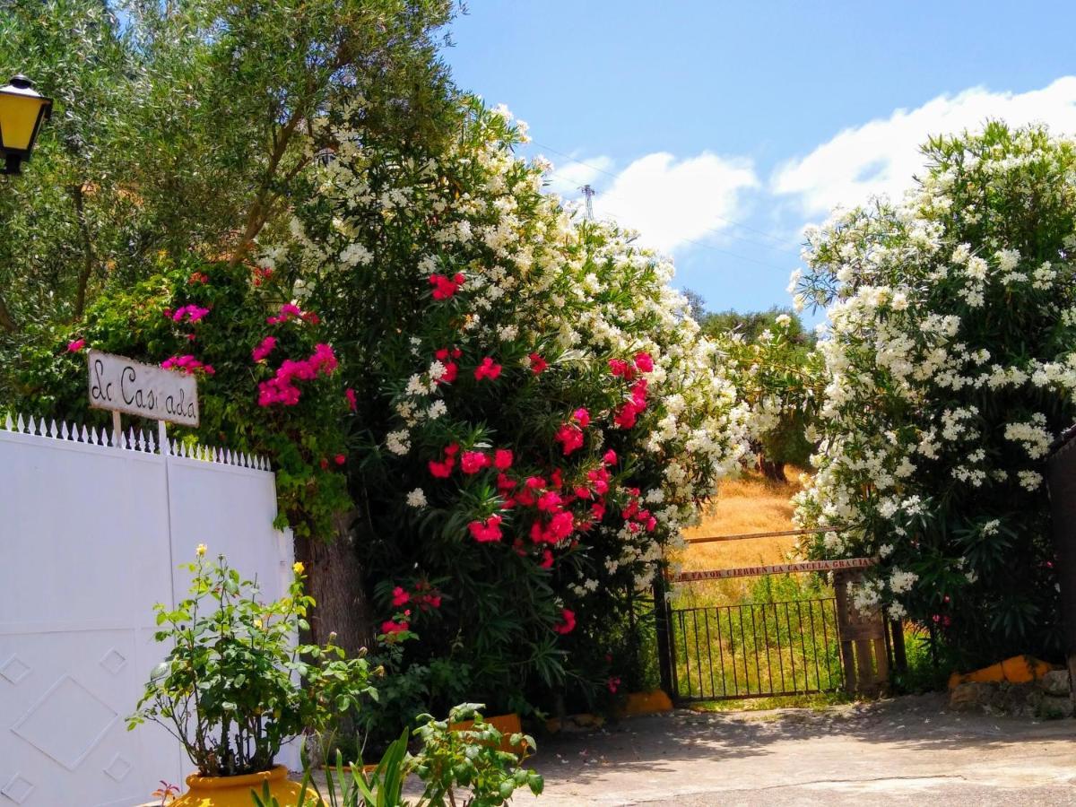 El Antiguo Molino Guest House El Bosque Exterior photo