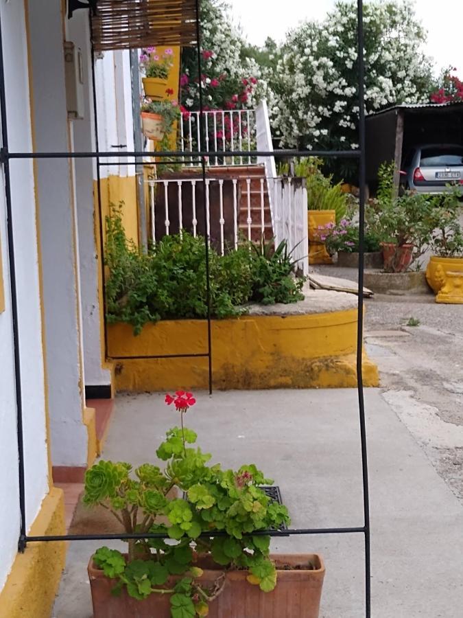 El Antiguo Molino Guest House El Bosque Exterior photo
